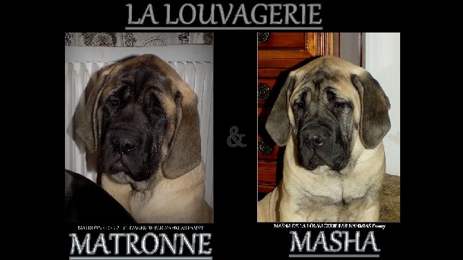 De la louvagerie - Matronne et Masha de La Louvagerie