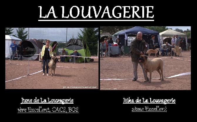 De la louvagerie - Exposition Canine Nationale de Gauchy (02)