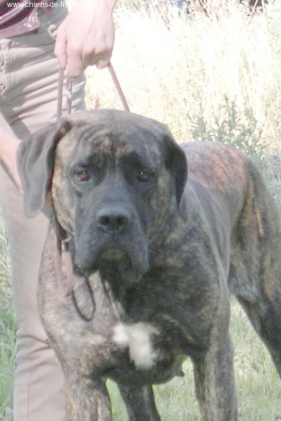 Sister De la louvagerie